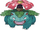 Andy's Venusaur