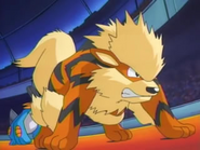 Tucker Arcanine