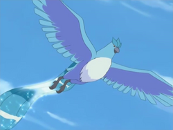 Articuno (mystery dungeon), PokéFanon