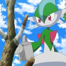 Ashe S Gallade Pokefanon Fandom