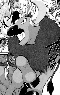 Ash S Tauros Spirit Pokefanon Fandom Ash S Tauros Spirit Pokefanon Fandom