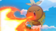 May Torchic Ember (game)