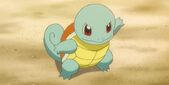 Squirtle-Looking-Happy