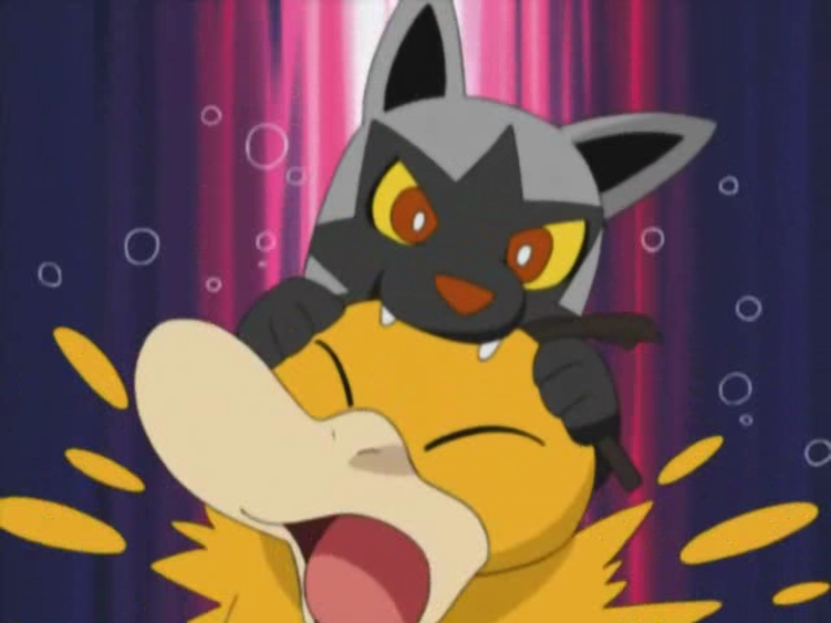 Random Pokemon Bot on X: Poochyena Ability: Rattled Moves: Scary Face,  Embargo, Hyper Voice, Return #pokemon #Poochyena  /  X