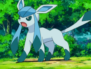 May Glaceon Battle Ready