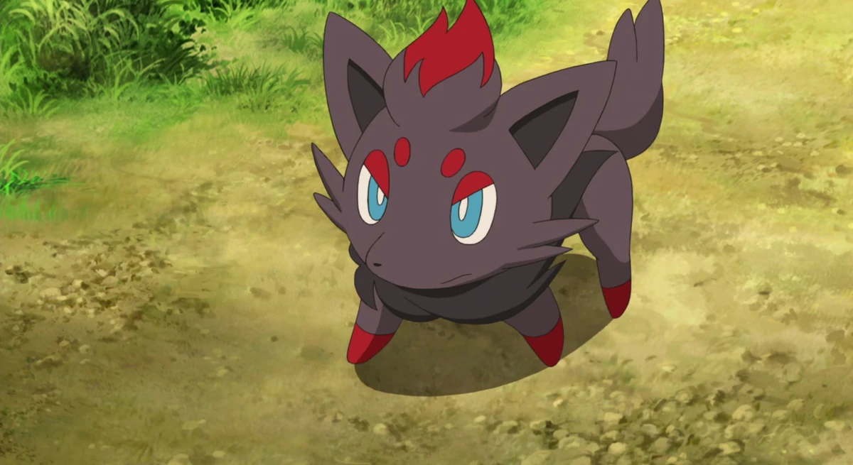 Ash's Zoroark (ACP) PokéFanon Fandom