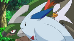 Thert S Torterra Pokefanon Fandom