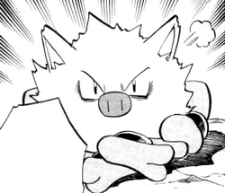 Ash S Primeape Acp Pokefanon Fandom