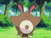 Ash's brownie the sentret - furret