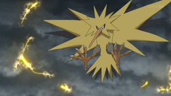 Zapdos (PJ040), Pokémon Wiki