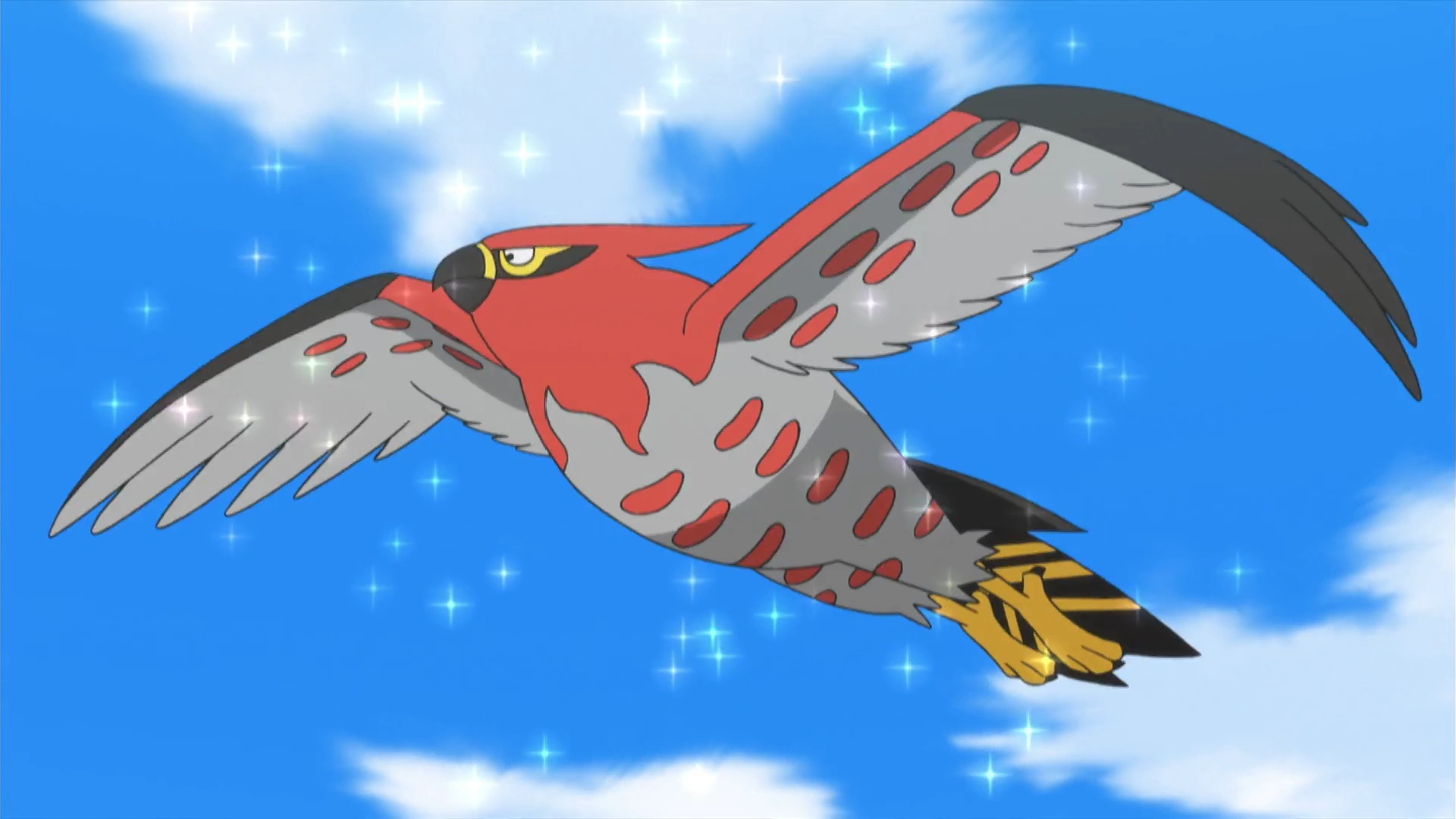 Phoenix Talonflame Pokefanon Fandom