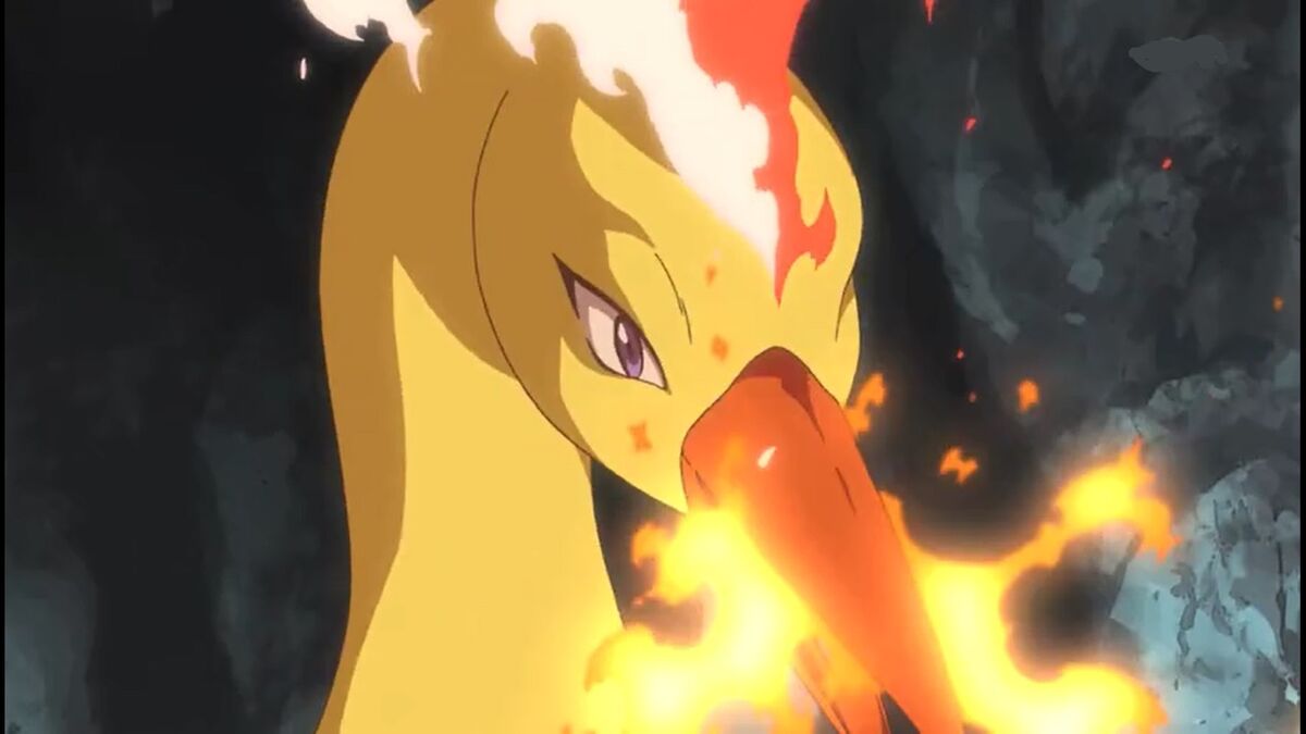 Ash Kaijin on X: 🚨 CONCEPT 🚨 Pokémon : Moltres