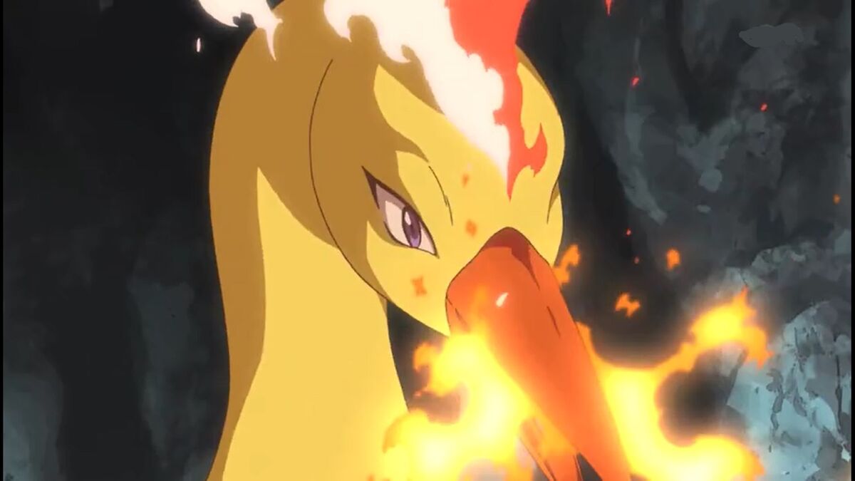 Moltres of Ash PokéFanon Fandom