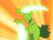 Sceptile Leaf Blade