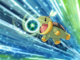 Using Energy Ball as Turtwig