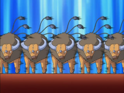 Ash S Tauros Tom S Version Pokefanon Fandom