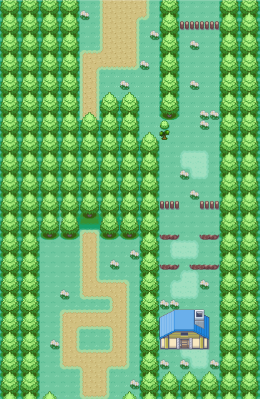 Route 1 (Kanto), Pokémon Wiki