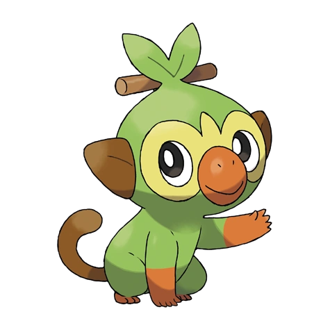 Grookey (Pokémon) | Pokémon Fire Ash Wiki | Fandom