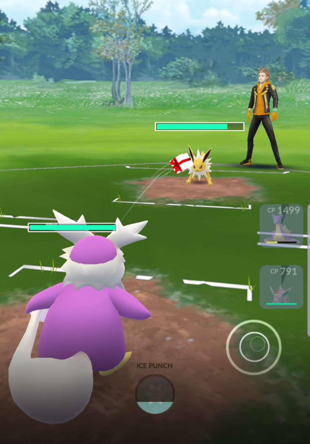 Normal Types in Pokémon GO: Present and Future