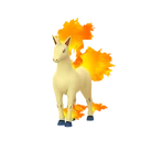 Rapidash