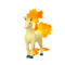 Rapidash
