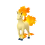 Rapidash