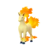 Rapidash