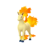 Rapidash