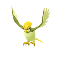 Pidgeotto