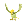Pidgeotto