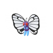 Butterfree female