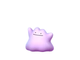 Ditto