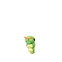 Caterpie