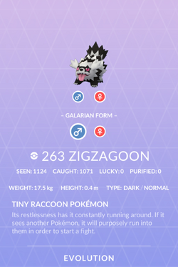 Zigzagoon Pokemon Go Wiki Fandom