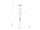 Pheromosa