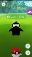 Psyduck render failure