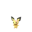 Pichu spring2023