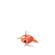 Magikarp female