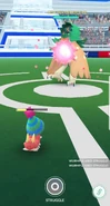 Struggle used in a Gym Battle