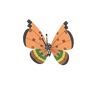 Vivillon