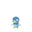 Piplup