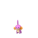 Mudkip
