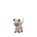 Rockruff