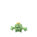 Cacnea