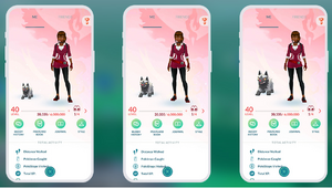 Size affects the 3D model of a Pokémon