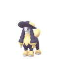 Furfrou debutante shiny.png