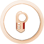 Kanto Bronze.png