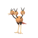Dodrio