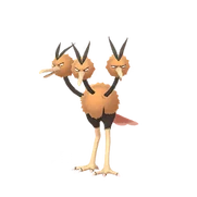 Dodrio