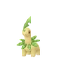 Bayleef
